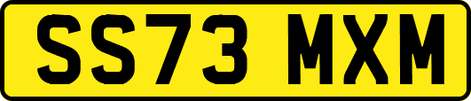 SS73MXM