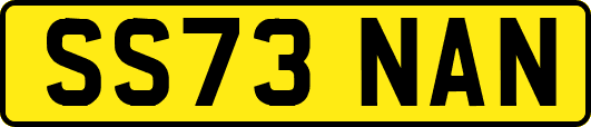 SS73NAN
