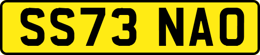 SS73NAO