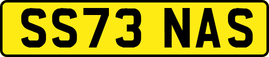 SS73NAS