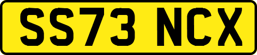 SS73NCX