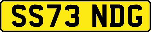 SS73NDG