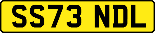 SS73NDL