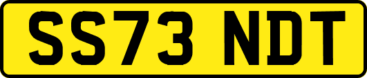 SS73NDT