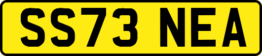 SS73NEA