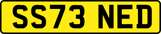 SS73NED