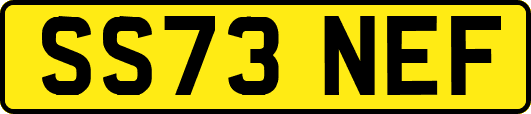 SS73NEF