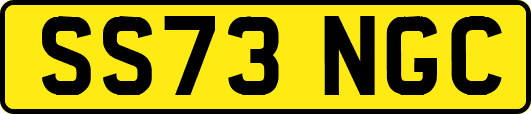 SS73NGC