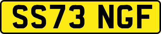 SS73NGF