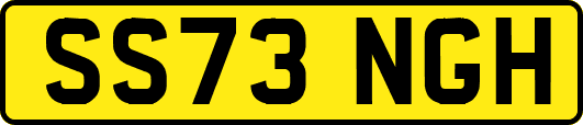SS73NGH