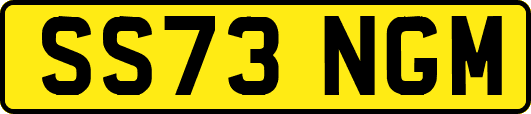 SS73NGM
