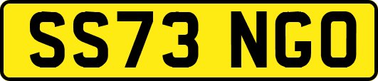 SS73NGO