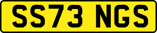 SS73NGS