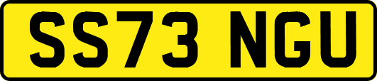 SS73NGU