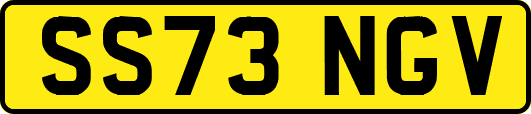 SS73NGV