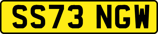 SS73NGW