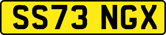 SS73NGX