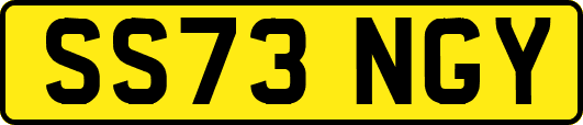 SS73NGY