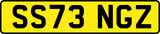 SS73NGZ