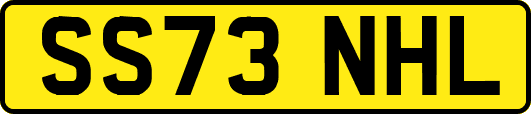SS73NHL