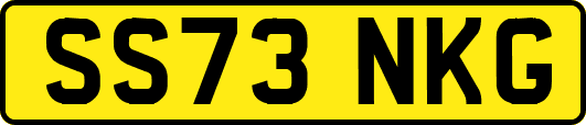 SS73NKG