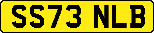 SS73NLB