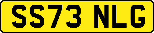 SS73NLG