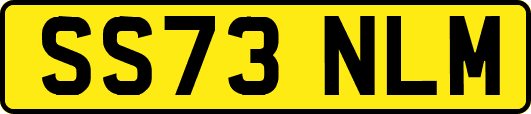 SS73NLM