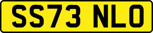SS73NLO