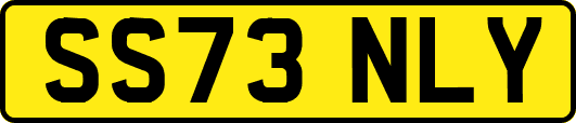 SS73NLY