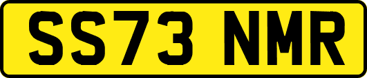SS73NMR