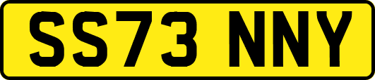 SS73NNY