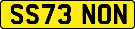 SS73NON