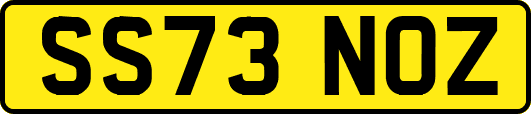SS73NOZ