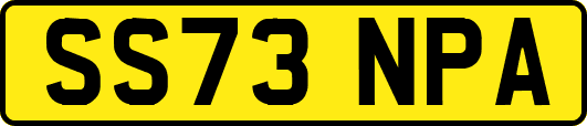 SS73NPA