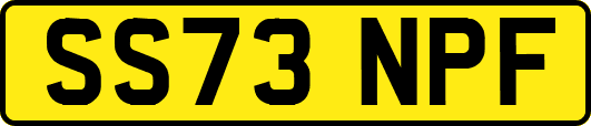 SS73NPF