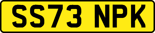 SS73NPK