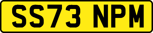 SS73NPM