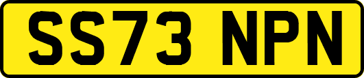 SS73NPN