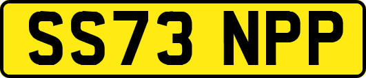 SS73NPP