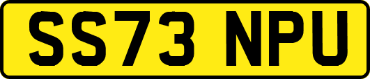 SS73NPU