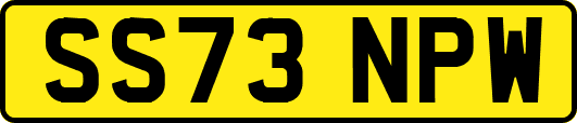 SS73NPW