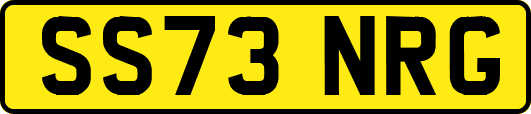 SS73NRG