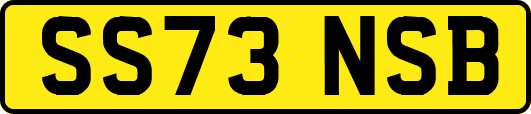SS73NSB