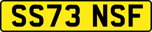 SS73NSF