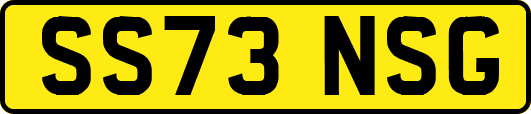 SS73NSG