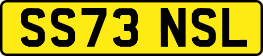 SS73NSL