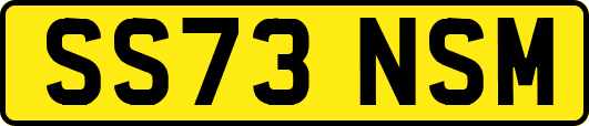 SS73NSM