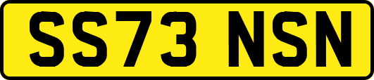SS73NSN