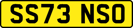 SS73NSO